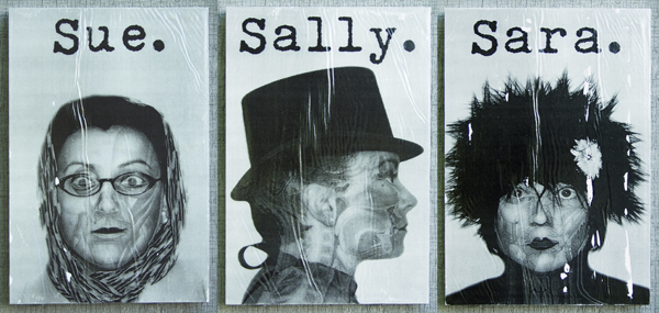 Sue Sally Sara by R.L. Gibson