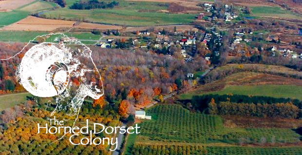 Artist R.L. Gibson will participate in the 2018 Session III artist residency at the Horned Dorset Colony in upstate NY!